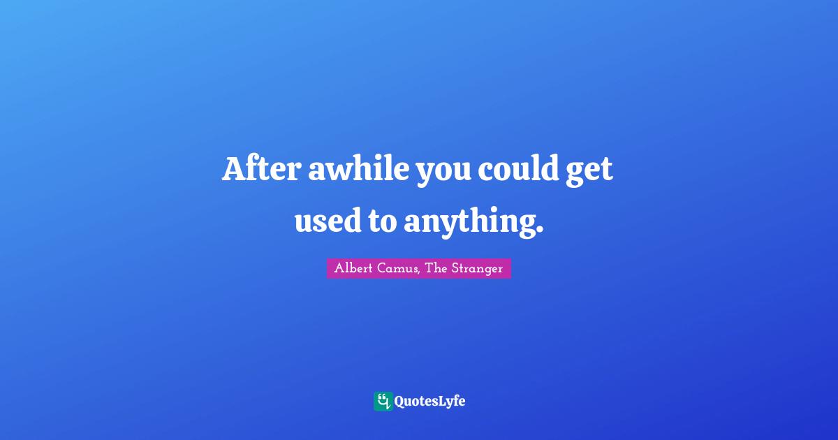 After awhile you could get used to anything.