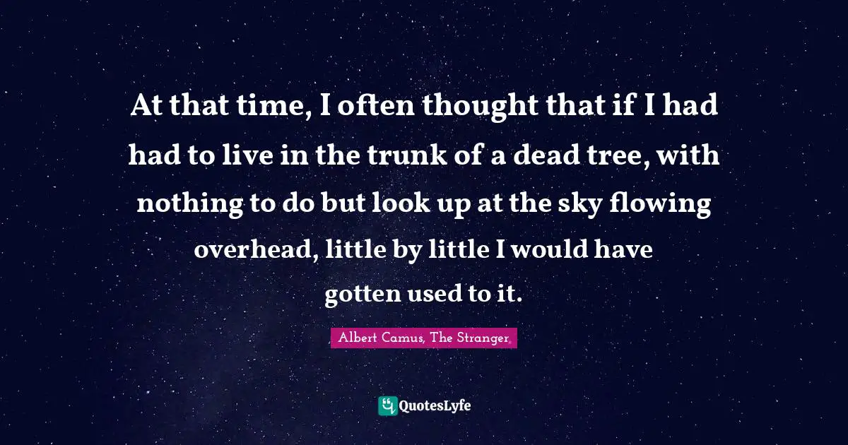 At that time, I often thought that if I had had to live in the trunk of a dead tree, with nothing to do but look up at the sky flowing overhead, little by little I would have gotten used to it.