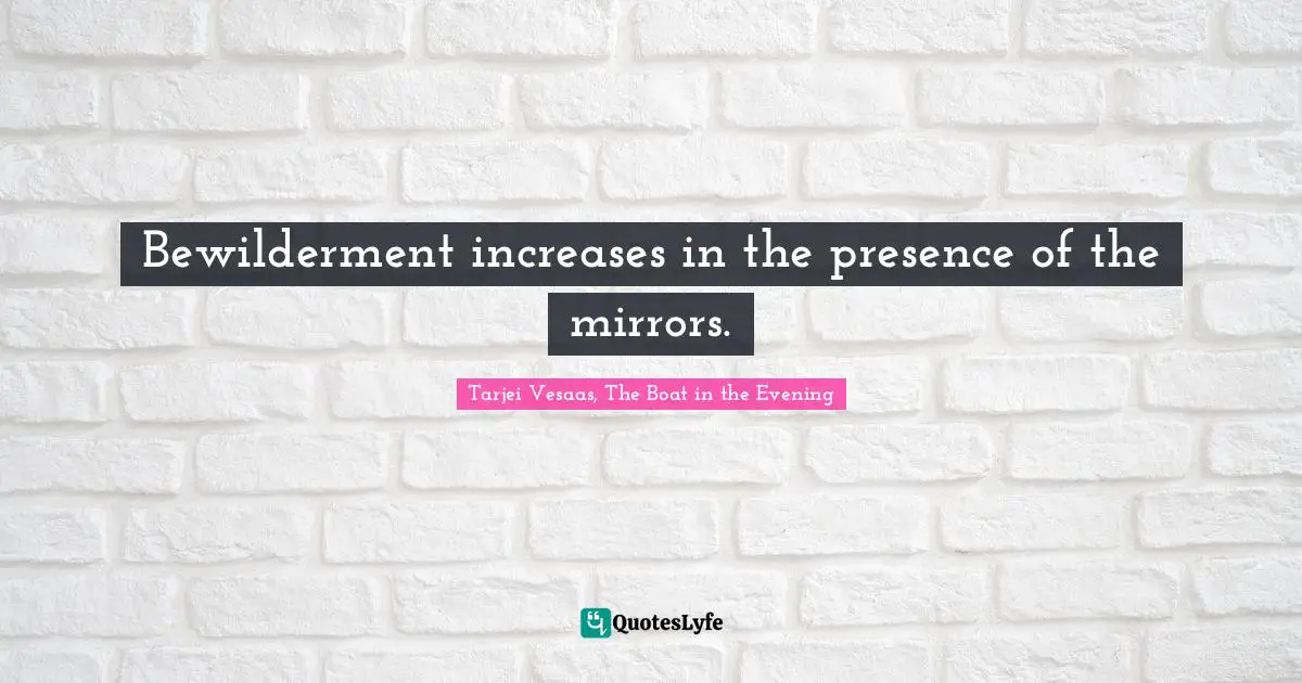 Bewilderment increases in the presence of the mirrors.