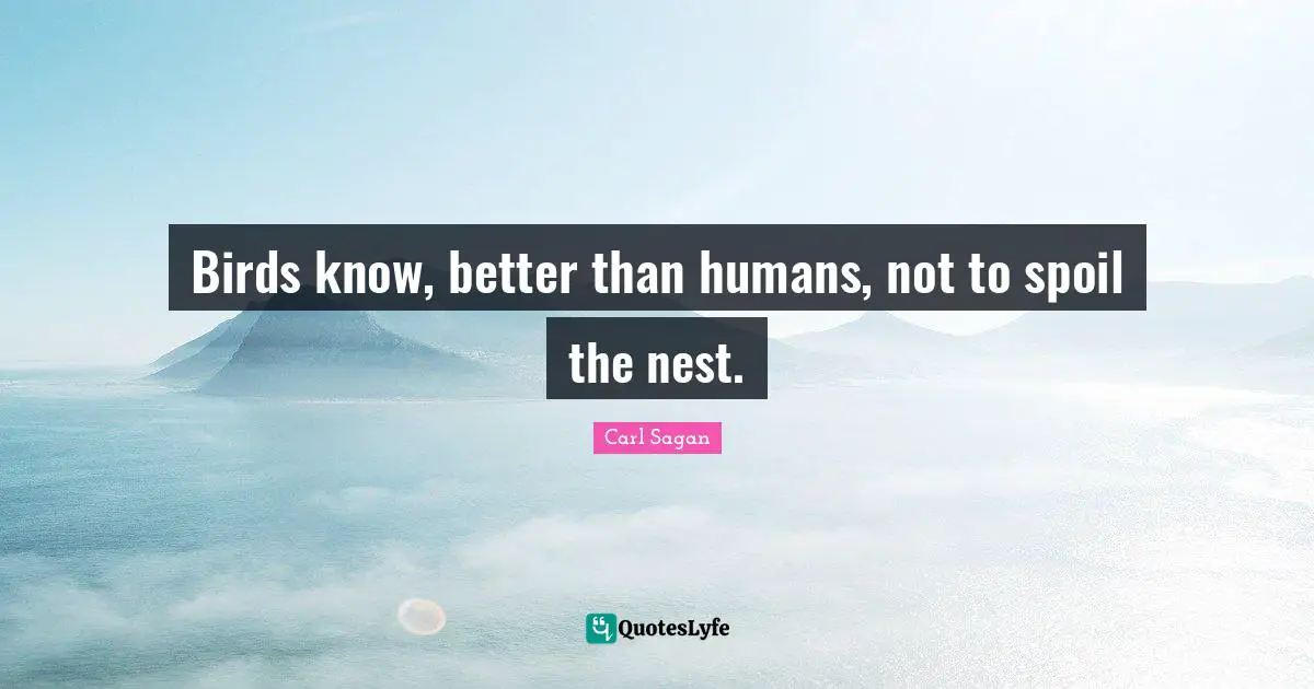 Birds know, better than humans, not to spoil the nest.