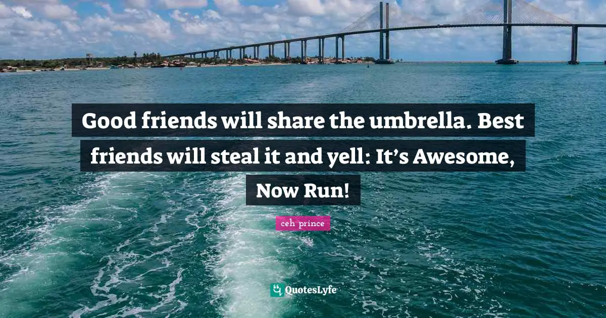 Good friends will share the umbrella. Best friends will steal it and yell: It’s Awesome, Now Run!