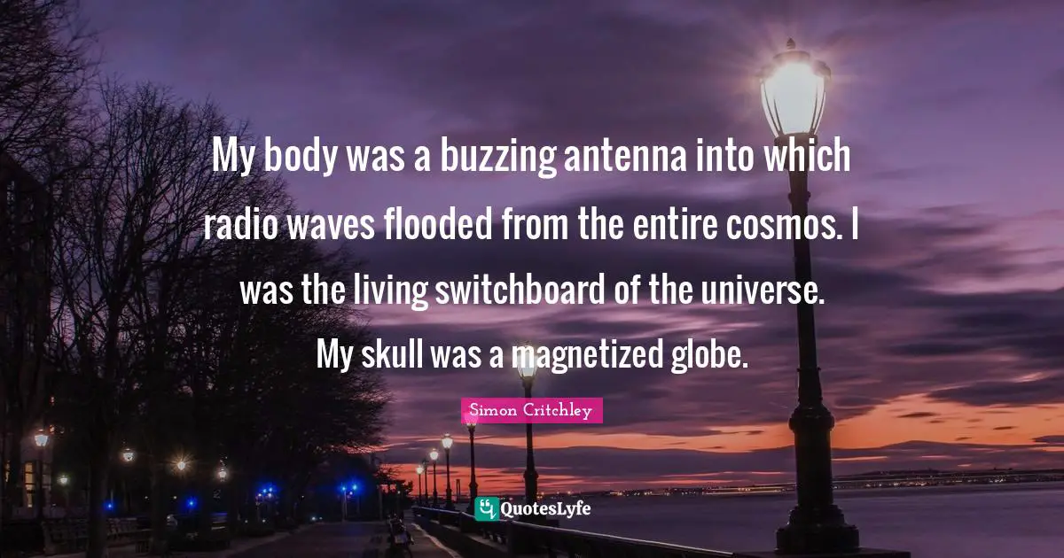 My body was a buzzing antenna into which radio waves flooded from the entire cosmos. I was the living switchboard of the universe. My skull was a magnetized globe.