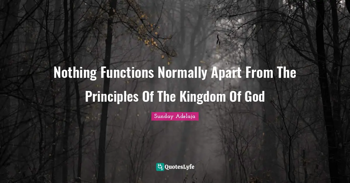Functions Quotes: "Nothing Functions Normally Apart From The Principles Of The Kingdom Of God"