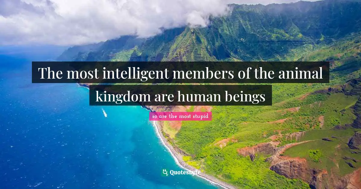 The most intelligent members of the animal kingdom are human beings