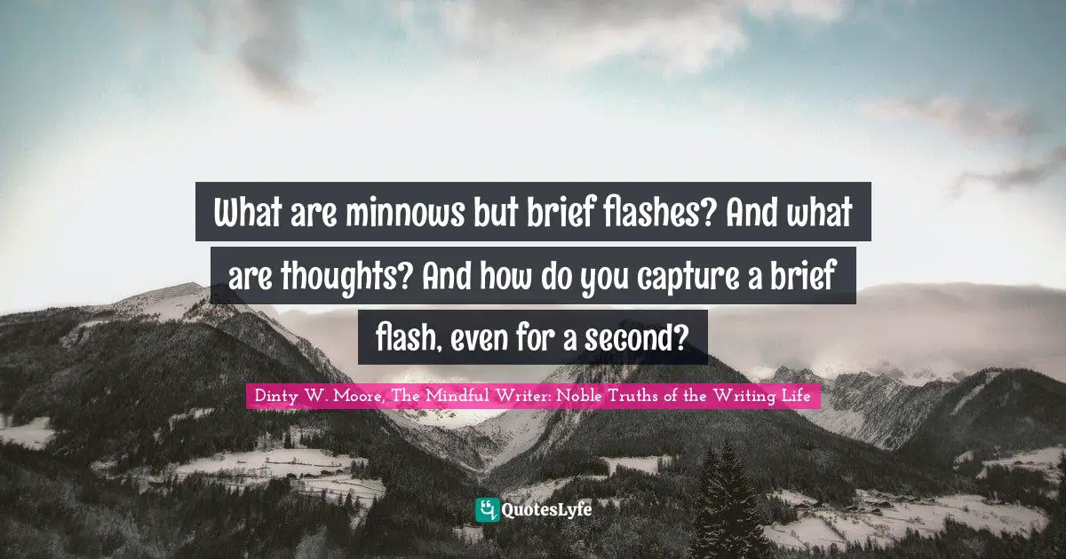 What are minnows but brief flashes? And what are thoughts? And how do you capture a brief flash, even for a second?