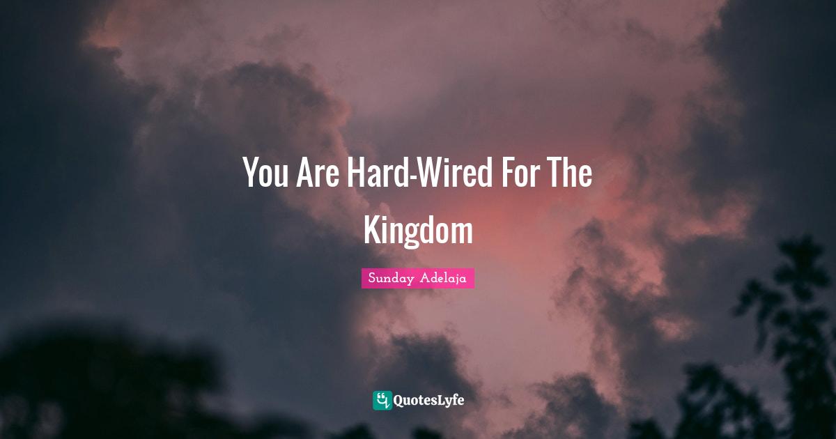 You Are Hard-Wired For The Kingdom