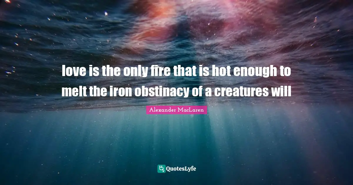 love is the only fire that is hot enough to melt the iron obstinacy of a creatures will