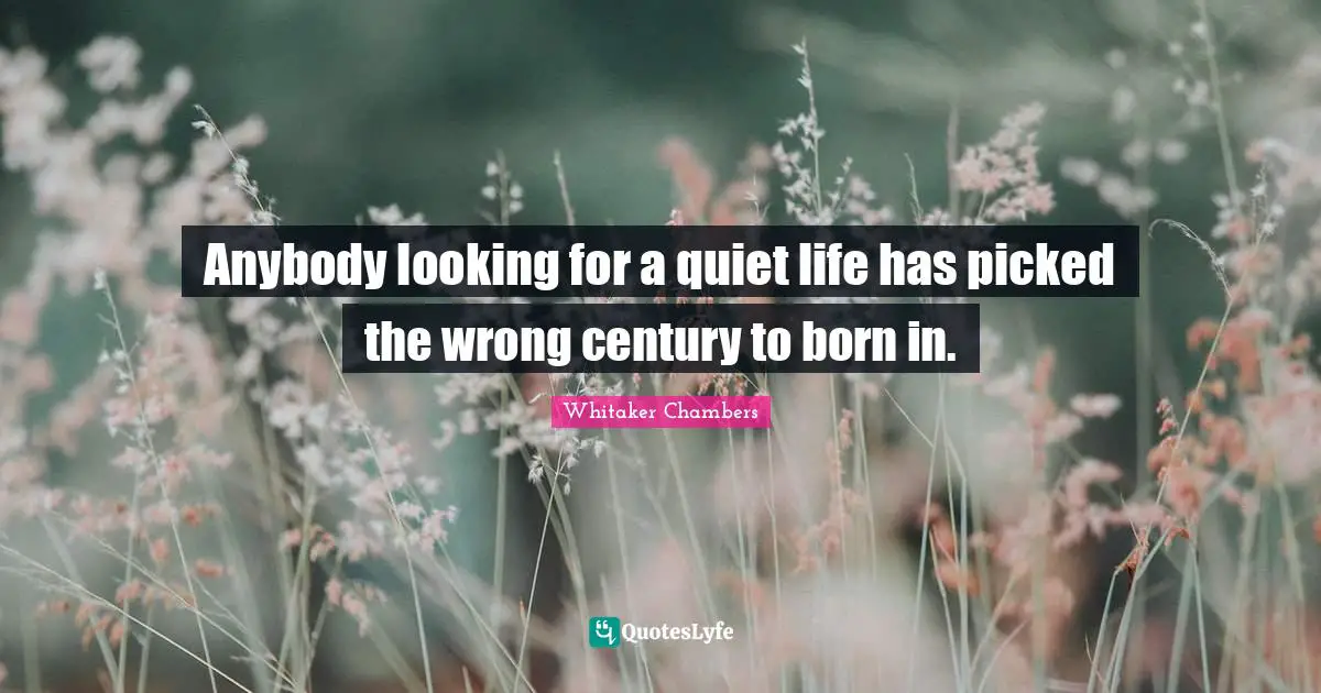 Twentieth Century Quotes: "Anybody looking for a quiet life has picked the wrong century to born in."