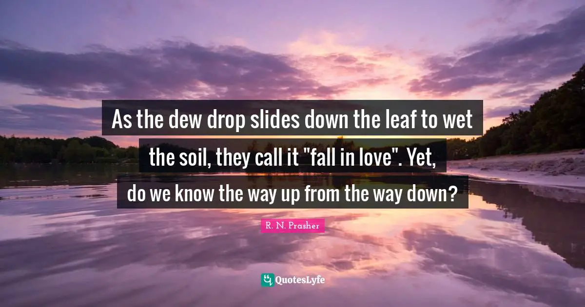 As the dew drop slides down the leaf to wet the soil, they call it "fall in love". Yet, do we know the way up from the way down?