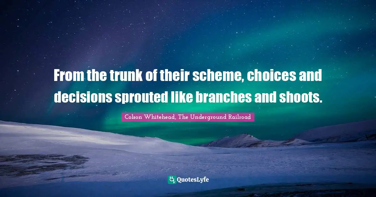 From the trunk of their scheme, choices and decisions sprouted like branches and shoots.