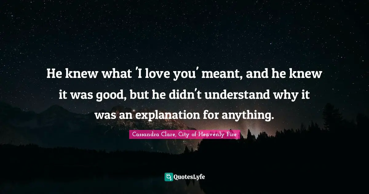 He knew what 'I love you' meant, and he knew it was good, but he didn't understand why it was an explanation for anything.