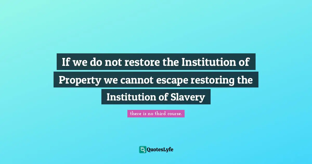 If we do not restore the Institution of Property we cannot escape restoring the Institution of Slavery