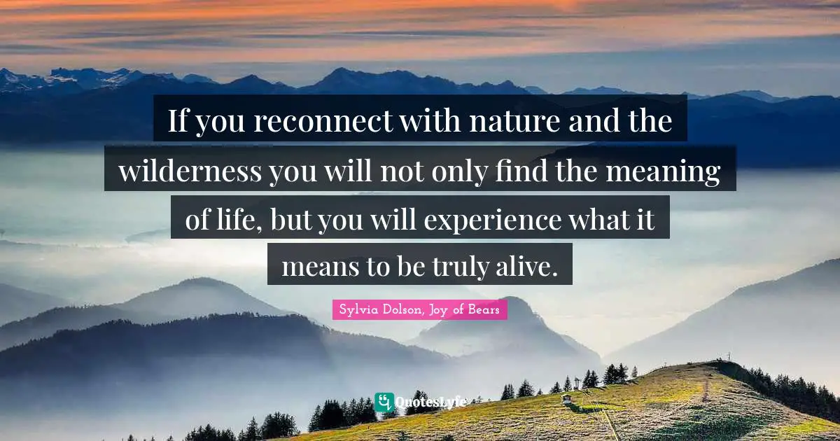 If you reconnect with nature and the wilderness you will not only find the meaning of life, but you will experience what it means to be truly alive.