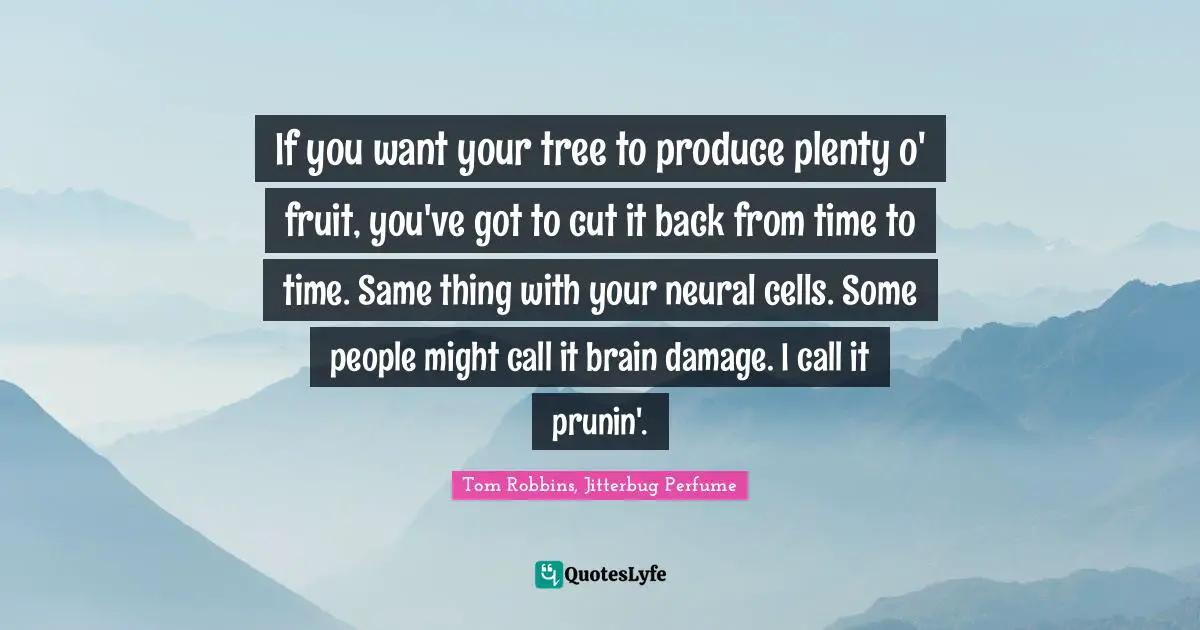 If you want your tree to produce plenty o' fruit, you've got to cut it back from time to time. Same thing with your neural cells. Some people might call it brain damage. I call it prunin'.