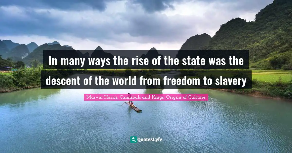 In many ways the rise of the state was the descent of the world from freedom to slavery