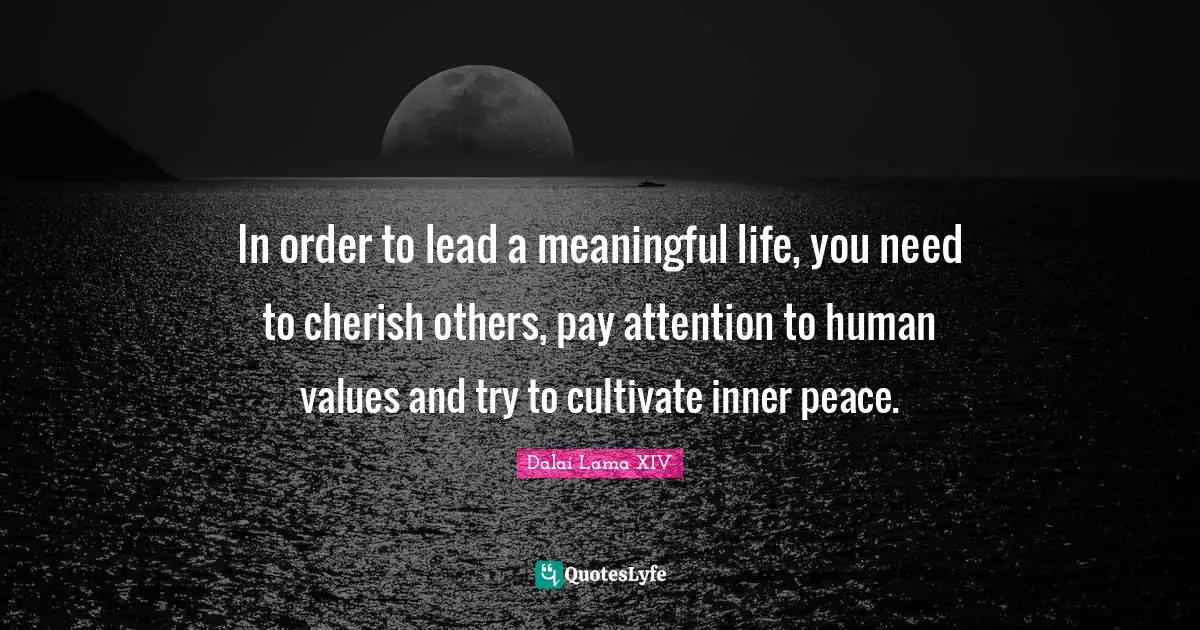 Dalai Quotes: "In order to lead a meaningful life, you need to cherish others, pay attention to human values and try to cultivate inner peace."