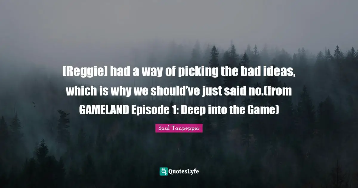 Young Adult Fiction Quotes: "[Reggie] had a way of picking the bad ideas, which is why we should’ve just said no.(from GAMELAND Episode 1: Deep into the Game)"