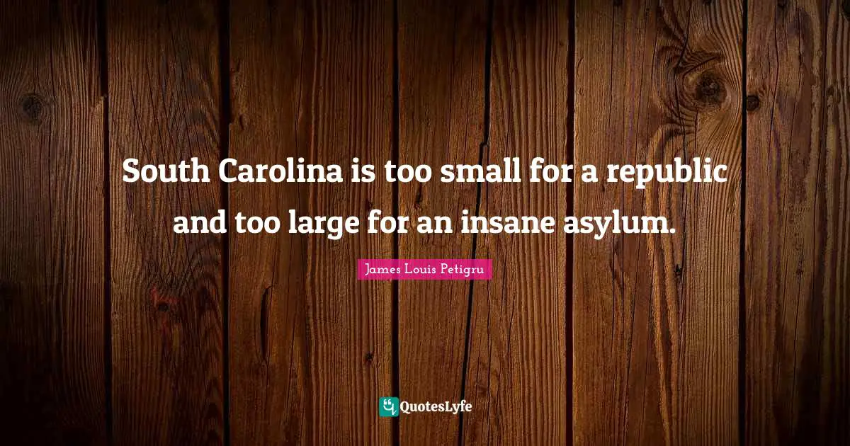 Republic Quotes: "South Carolina is too small for a republic and too large for an insane asylum."