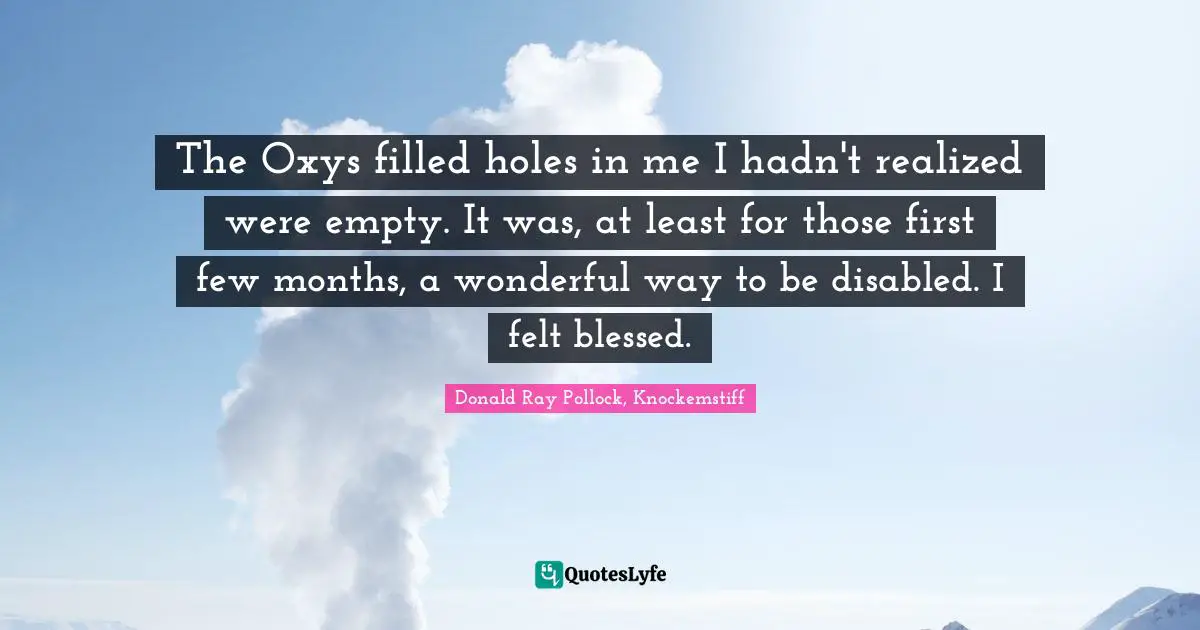 The Oxys filled holes in me I hadn't realized were empty. It was, at least for those first few months, a wonderful way to be disabled. I felt blessed.