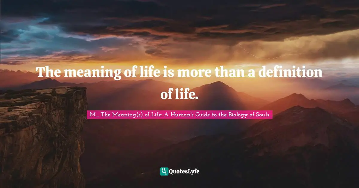 The meaning of life is more than a definition of life.