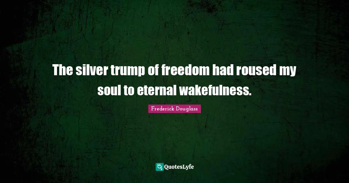 The silver trump of freedom had roused my soul to eternal wakefulness.