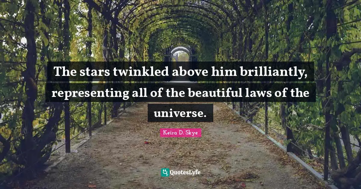 The stars twinkled above him brilliantly, representing all of the beautiful laws of the universe.