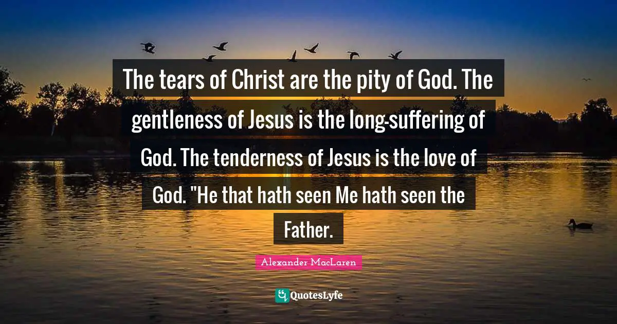 The tears of Christ are the pity of God. The gentleness of Jesus is the long-suffering of God. The tenderness of Jesus is the love of God. "He that hath seen Me hath seen the Father.