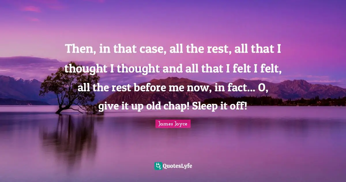 Then, in that case, all the rest, all that I thought I thought and all that I felt I felt, all the rest before me now, in fact... O, give it up old chap! Sleep it off!