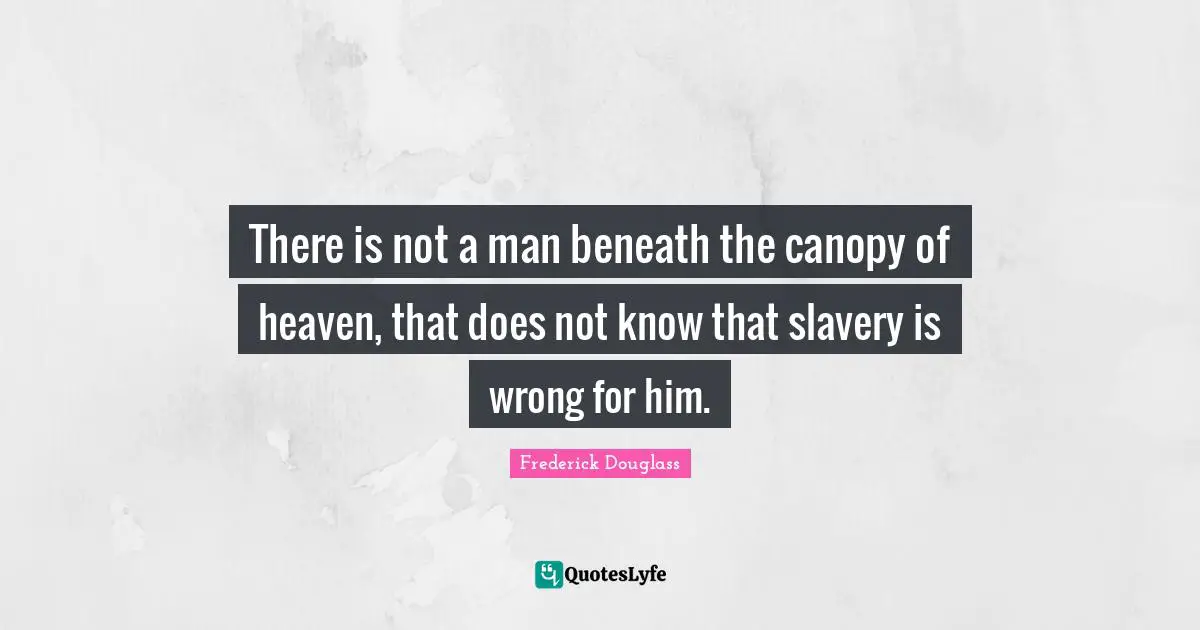 There is not a man beneath the canopy of heaven, that does not know that slavery is wrong for him.