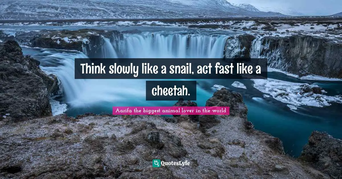 Think slowly like a snail, act fast like a cheetah.