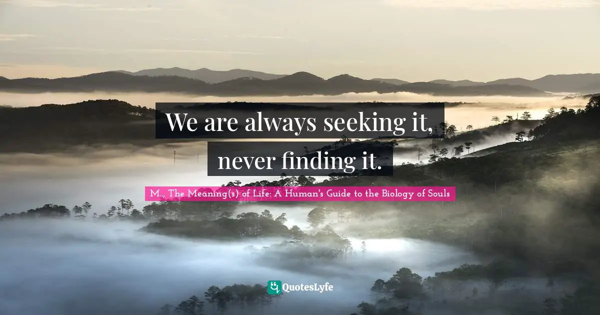 We are always seeking it, never finding it.