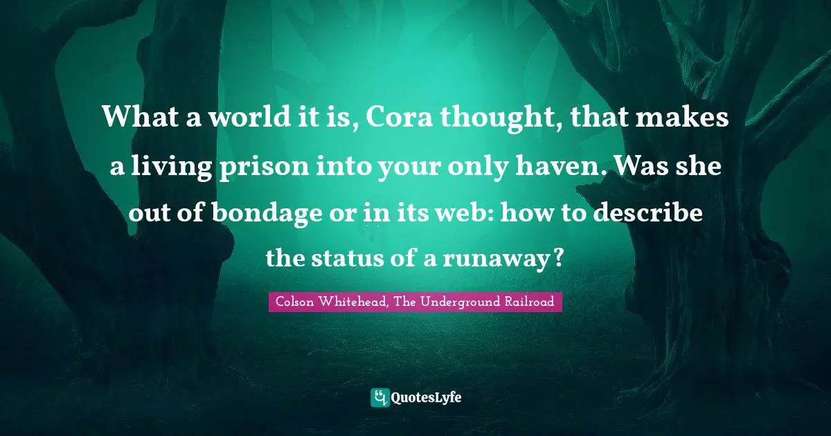 What a world it is, Cora thought, that makes a living prison into your only haven. Was she out of bondage or in its web: how to describe the status of a runaway?