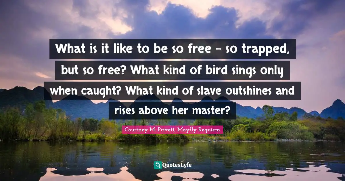 What is it like to be so free - so trapped, but so free? What kind of bird sings only when caught? What kind of slave outshines and rises above her master?