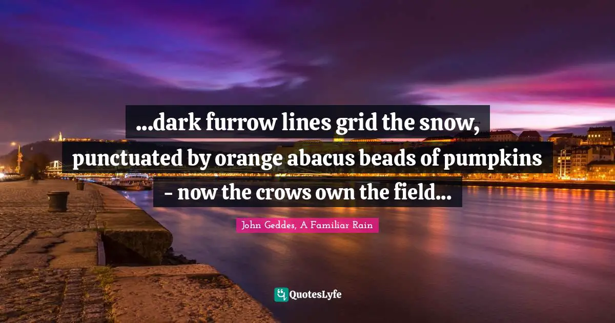 ...dark furrow lines grid the snow, punctuated by orange abacus beads of pumpkins - now the crows own the field...