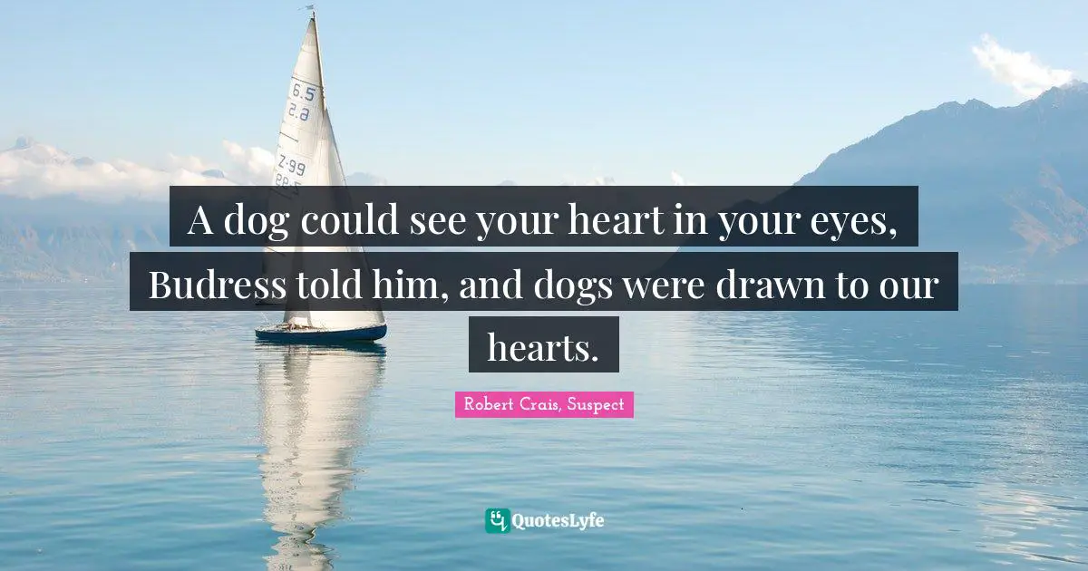 A dog could see your heart in your eyes, Budress told him, and dogs were drawn to our hearts.