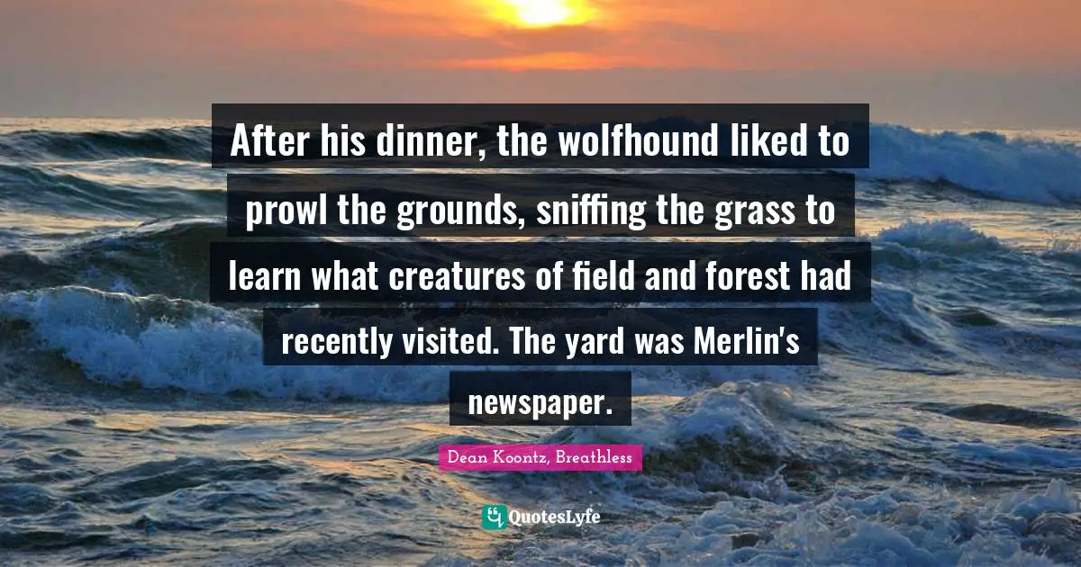 After his dinner, the wolfhound liked to prowl the grounds, sniffing the grass to learn what creatures of field and forest had recently visited. The yard was Merlin's newspaper.