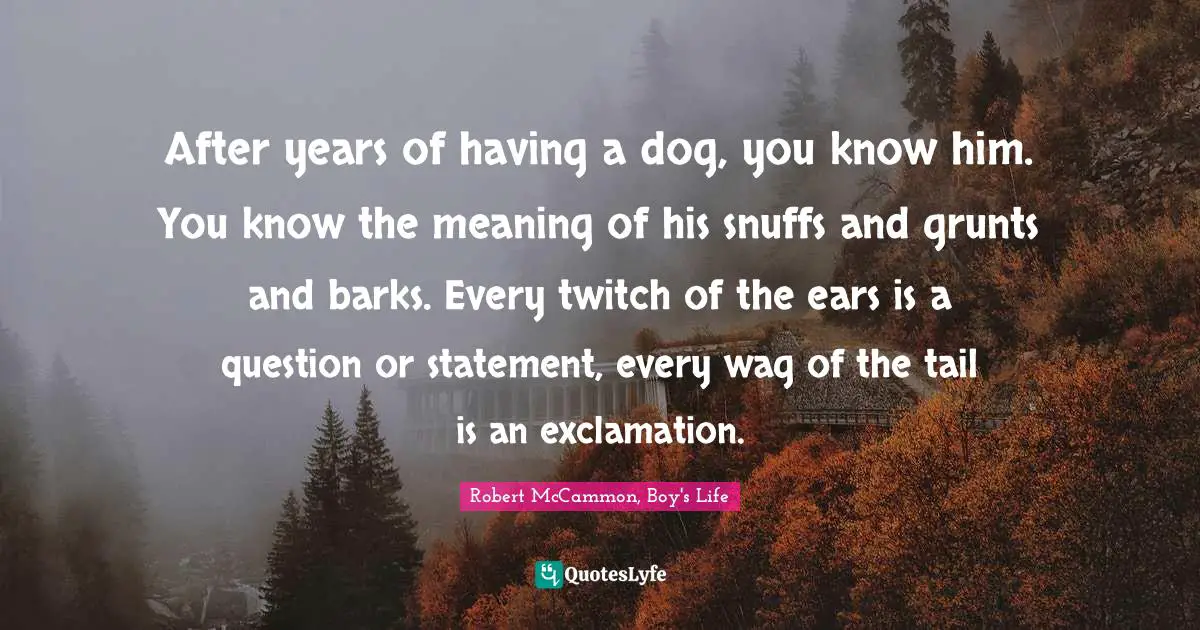 After years of having a dog, you know him. You know the meaning of his snuffs and grunts and barks. Every twitch of the ears is a question or statement, every wag of the tail is an exclamation.