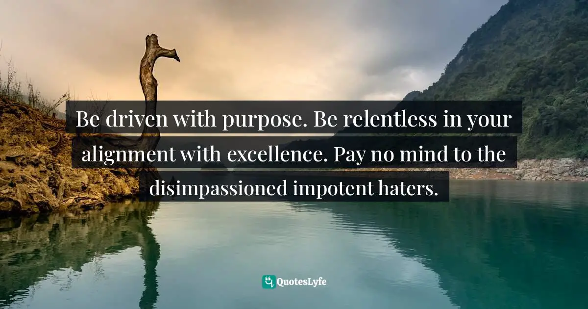 Be driven with purpose. Be relentless in your alignment with excellence. Pay no mind to the disimpassioned impotent haters.
