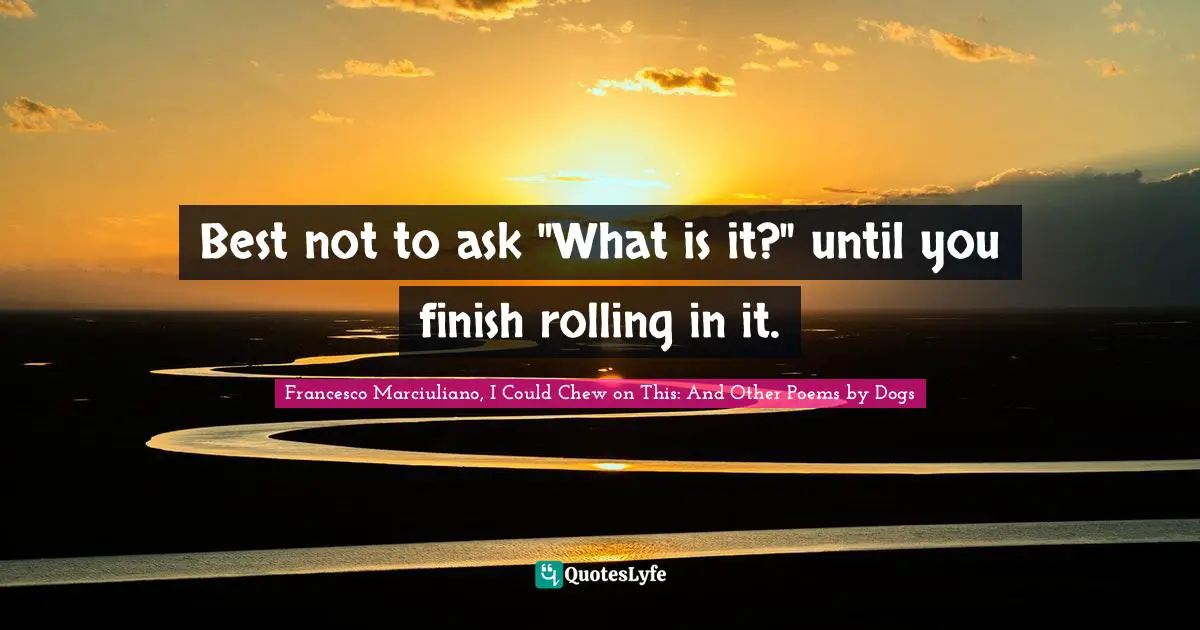 Best not to ask "What is it?" until you finish rolling in it.