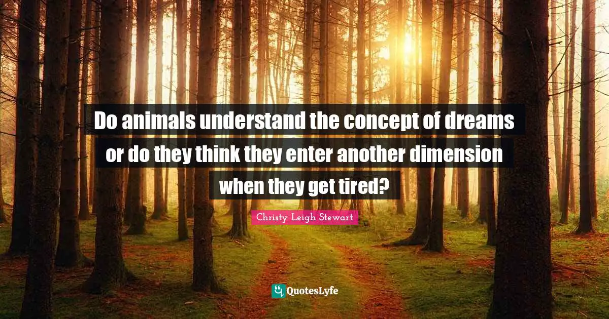 Do animals understand the concept of dreams or do they think they enter another dimension when they get tired?