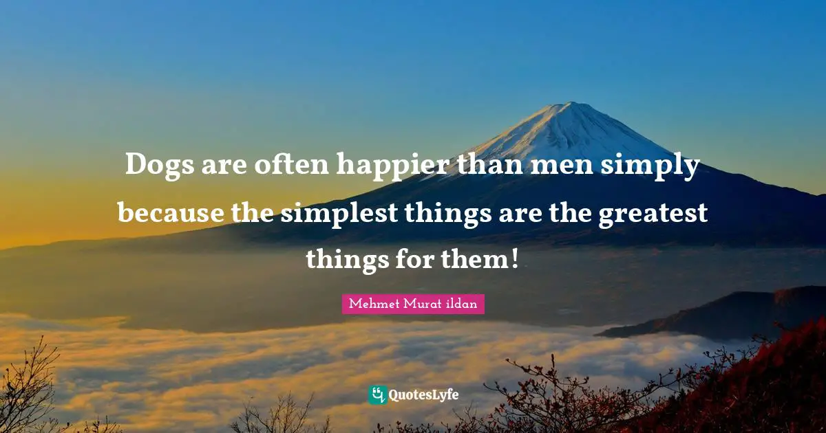 Dogs are often happier than men simply because the simplest things are the greatest things for them!