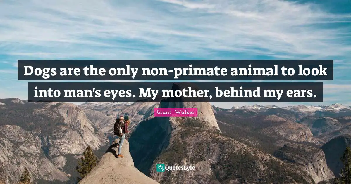 Dogs are the only non-primate animal to look into man's eyes. My mother, behind my ears.