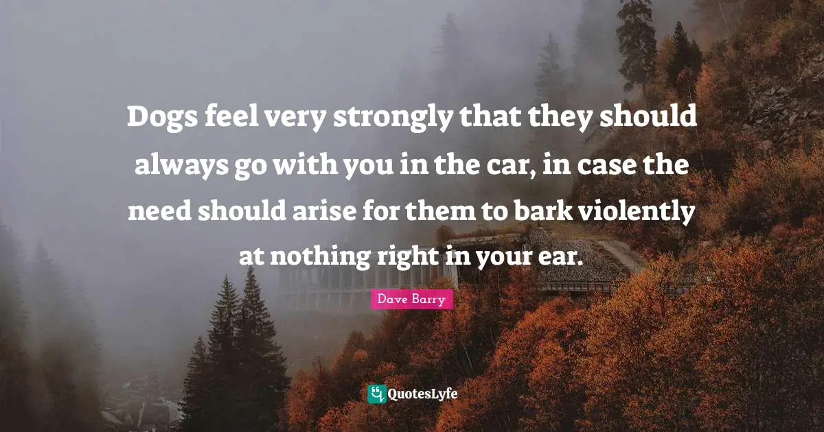 Dogs feel very strongly that they should always go with you in the car, in case the need should arise for them to bark violently at nothing right in your ear.