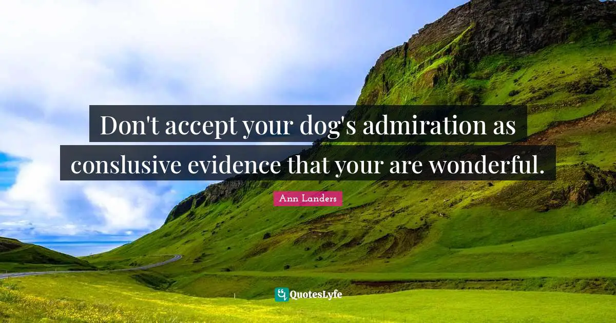 Don't accept your dog's admiration as conslusive evidence that your are wonderful.