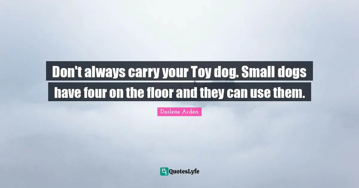 Don't always carry your Toy dog. Small dogs have four on the floor and they can use them.