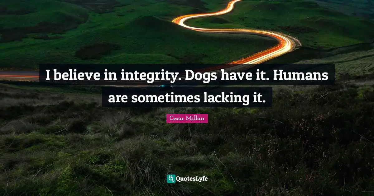 Cesar Millan Quotes: "I believe in integrity. Dogs have it. Humans are sometimes lacking it."