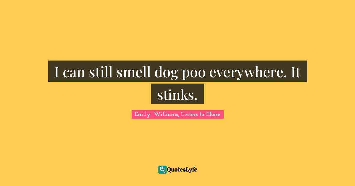I can still smell dog poo everywhere. It stinks.