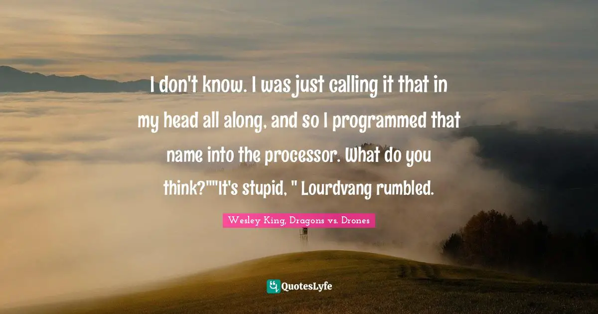 I don't know. I was just calling it that in my head all along, and so I programmed that name into the processor. What do you think?""It's stupid, " Lourdvang rumbled.