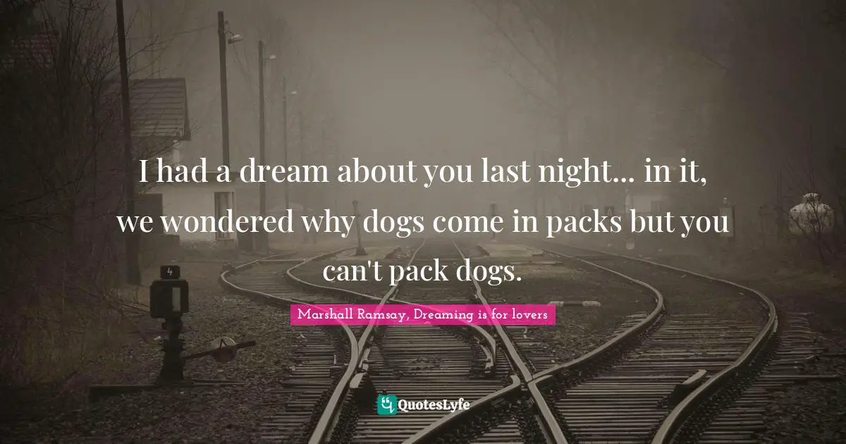 I had a dream about you last night... in it, we wondered why dogs come in packs but you can't pack dogs.