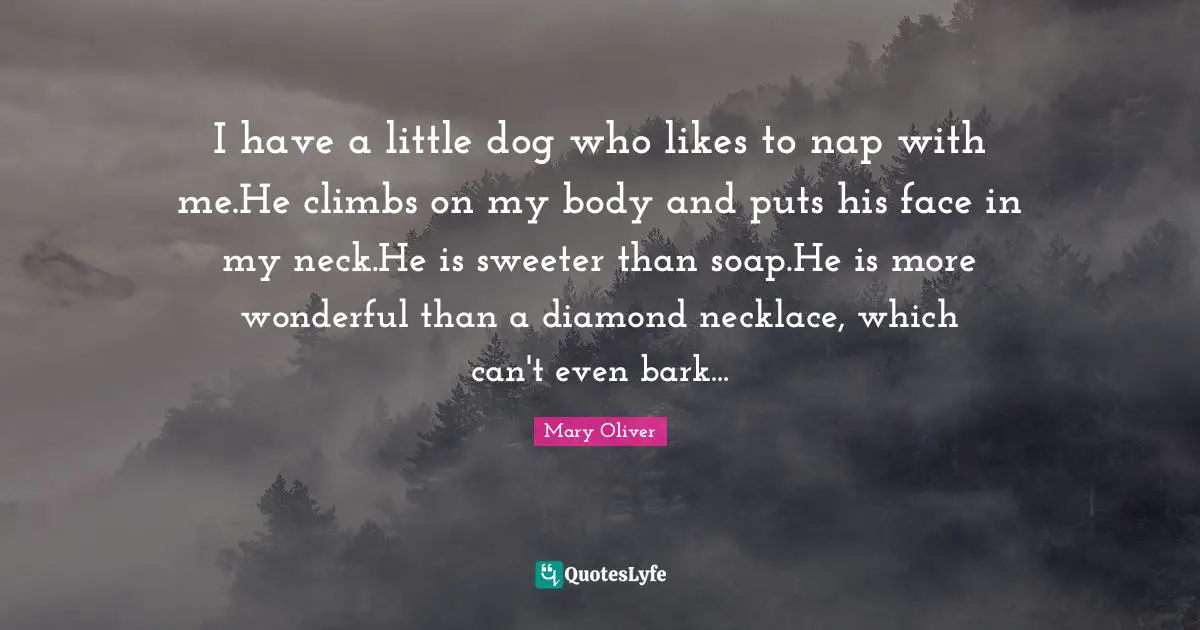 I have a little dog who likes to nap with me.He climbs on my body and puts his face in my neck.He is sweeter than soap.He is more wonderful than a diamond necklace, which can't even bark...